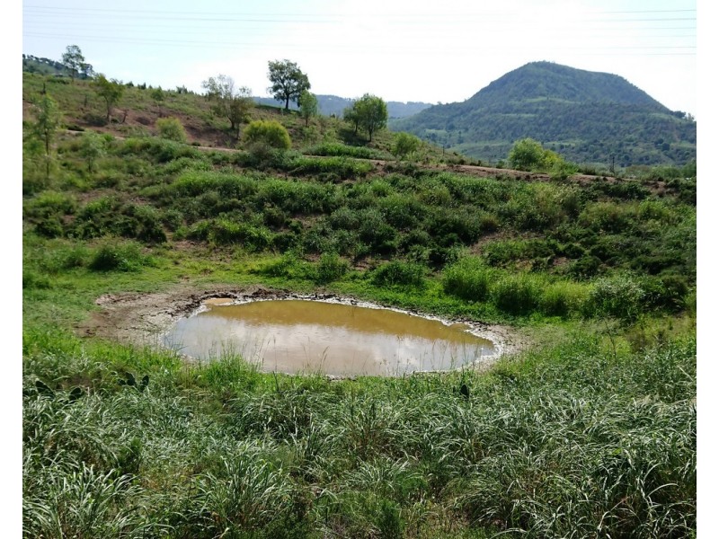 460 Carey Road, Blanchview QLD 4352