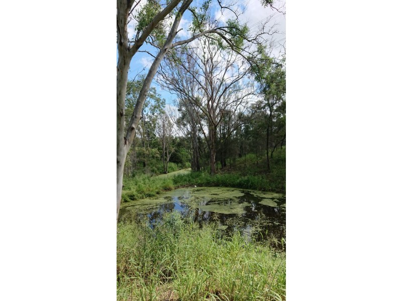 910 Gatton Clifton Road,, Ma Ma Creek QLD 4347