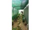 910 Gatton Clifton Road,, Ma Ma Creek QLD 4347