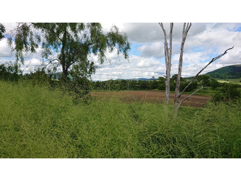 910 Gatton Clifton Road,, Ma Ma Creek QLD 4347