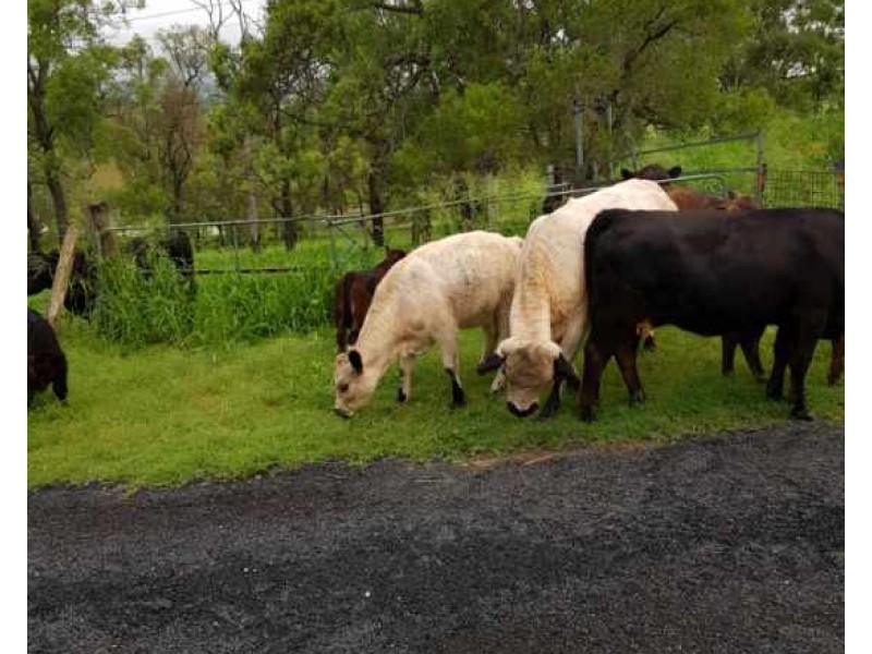 5 Charlies Access, Gatton QLD 4343