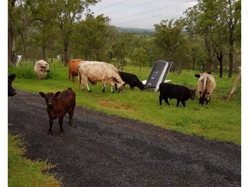 5 Charlies Access, Gatton QLD 4343