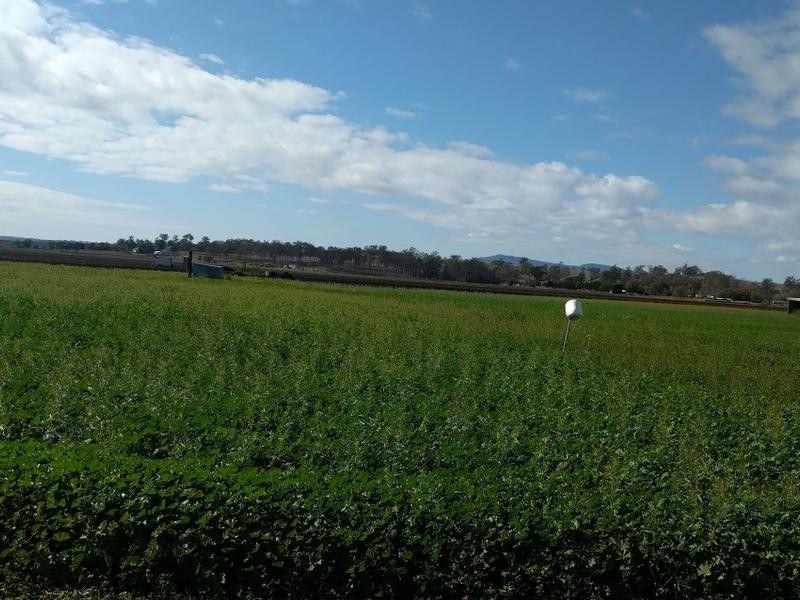 652 Gatton Clifton Road, Ma Ma Creek QLD 4347