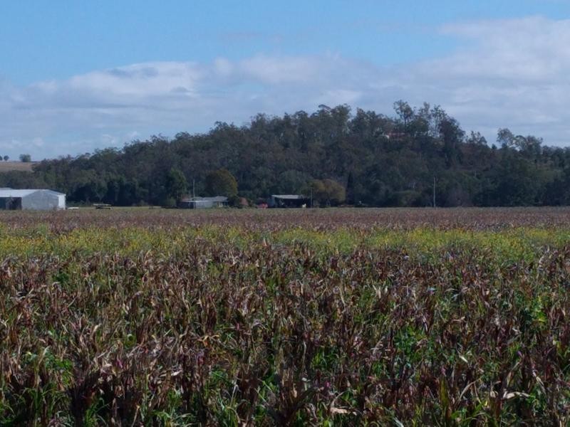 652 Gatton Clifton Road, Ma Ma Creek QLD 4347