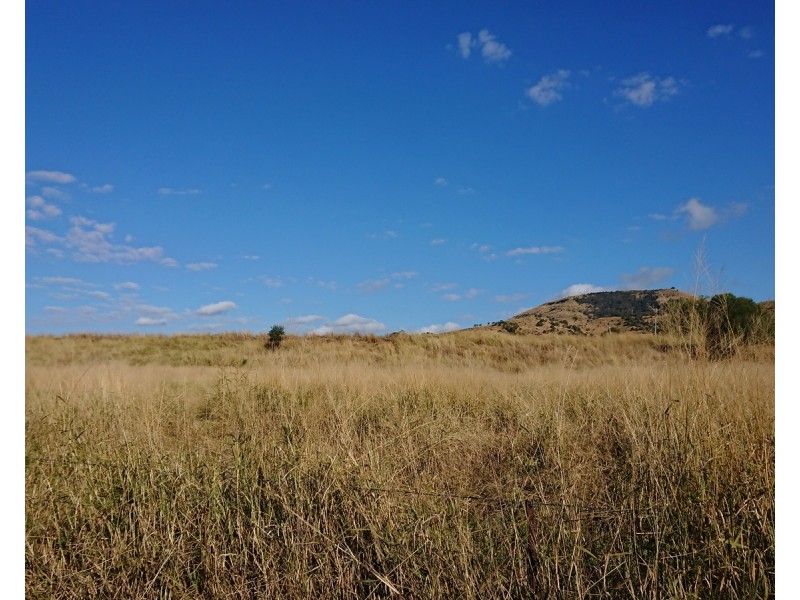 558A Back Ma Ma Creek Road, Ma Ma Creek QLD 4347