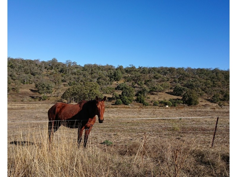 114 Bernard Road, Nobby QLD 4360