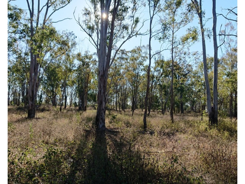 114 Bernard Road, Nobby QLD 4360