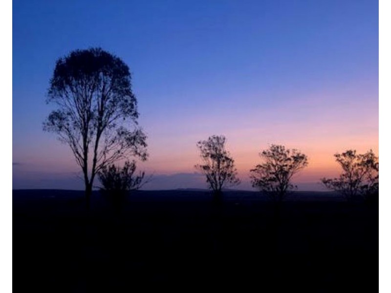 131 Clifton Pittsworth Road, Clifton QLD 4361