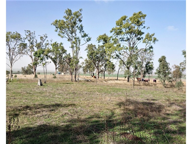 131 Clifton Pittsworth Road, Clifton QLD 4361