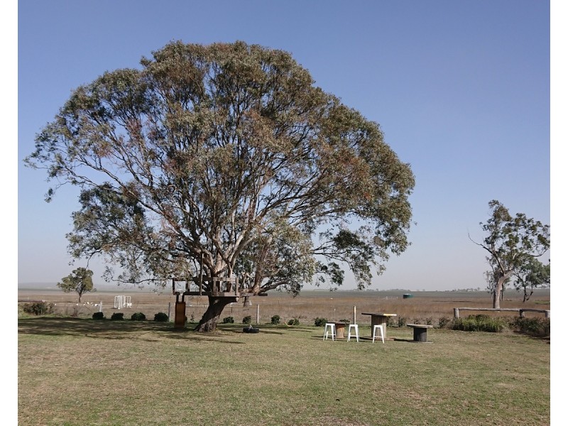 131 Clifton Pittsworth Road, Clifton QLD 4361