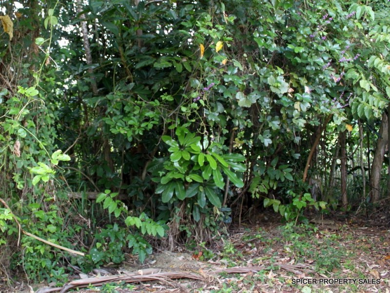 10 Pacific View Drive, Wongaling Beach QLD 4852