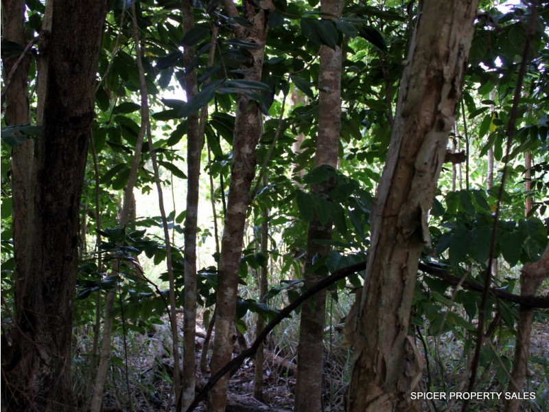 10 Pacific View Drive, Wongaling Beach QLD 4852