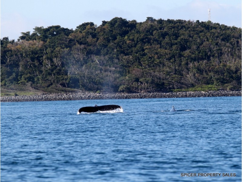 10 Pacific View Drive, Wongaling Beach QLD 4852