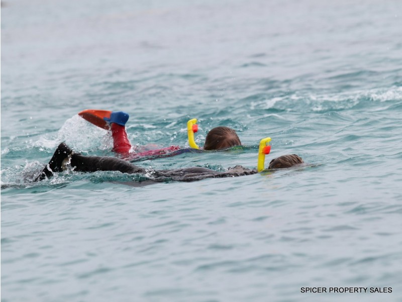 10 Pacific View Drive, Wongaling Beach QLD 4852