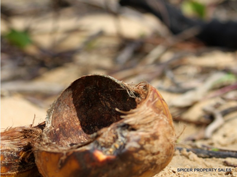 10 Pacific View Drive, Wongaling Beach QLD 4852