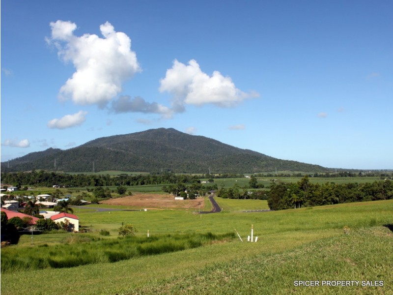 40 PEASE STREET, Tully QLD 4854