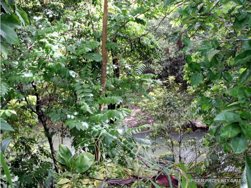 5 Vaughan Street, Tully QLD 4854