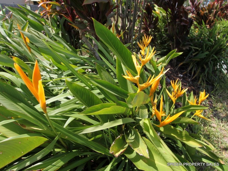 9 Amanda Crescent, Tully Heads QLD 4854