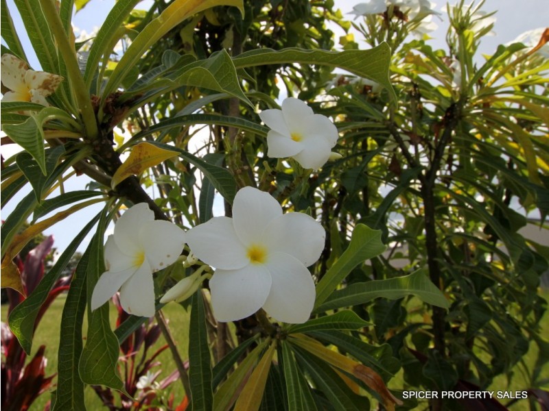 9 Amanda Crescent, Tully Heads QLD 4854