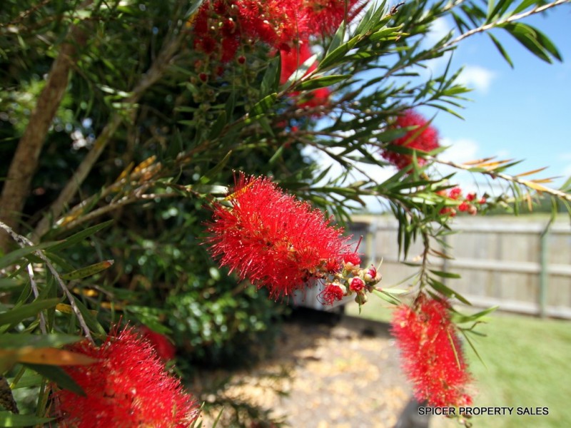 4 Dore Street, Tully QLD 4854