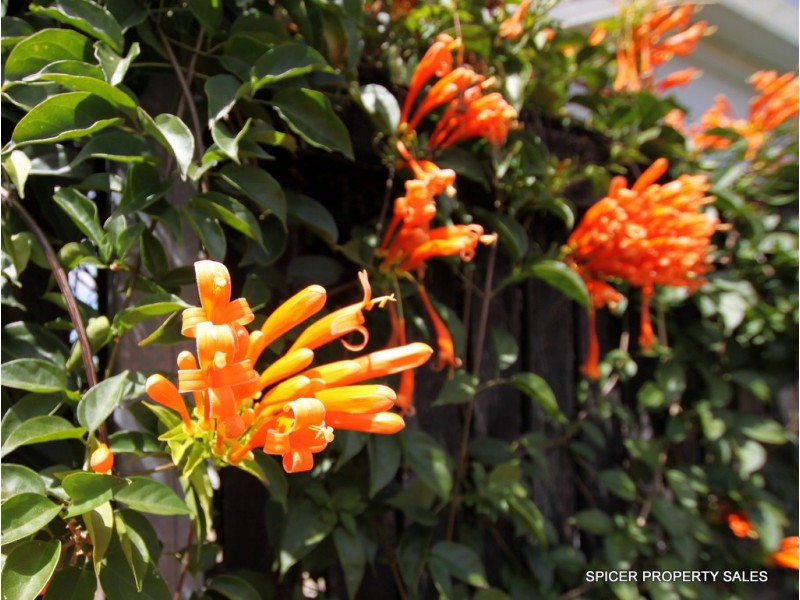 4 Dore Street, Tully QLD 4854