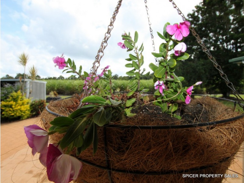 711 Murdering Point Road, Kurrimine Beach QLD 4871