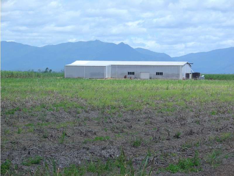 599 Davidson Road, Euramo QLD 4854