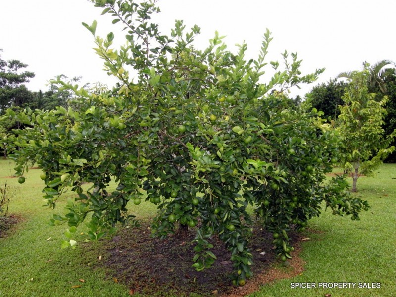 21 Merryburn Drive, Merryburn QLD 4854