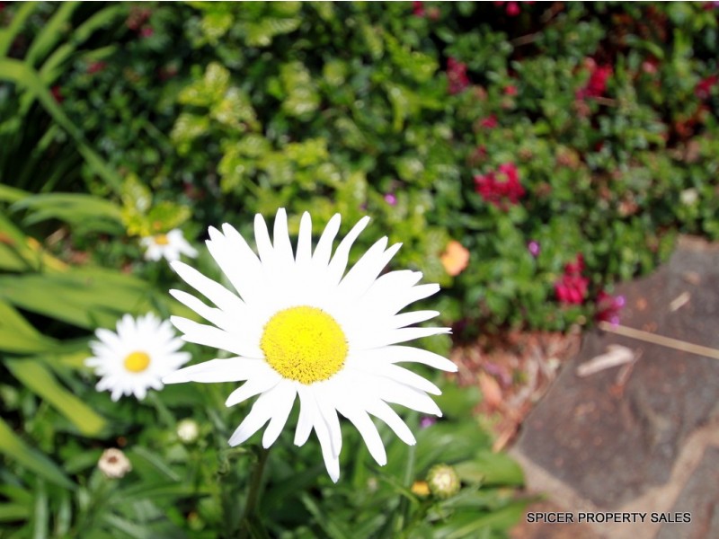 17 Second Avenue, Tarzali QLD 4885