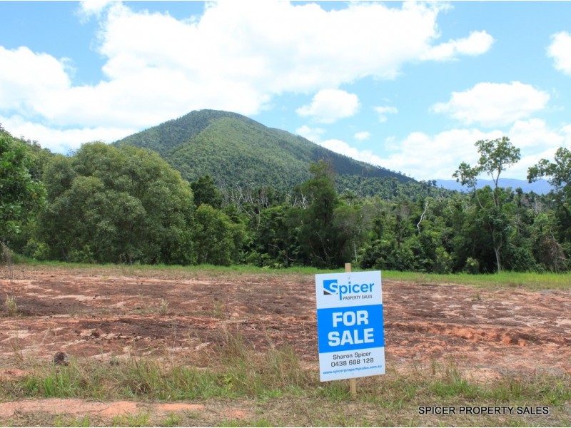 43 Pease Street, Tully QLD 4854