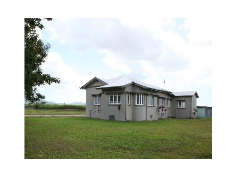 288 Old Tully Road, Midgenoo QLD 4854