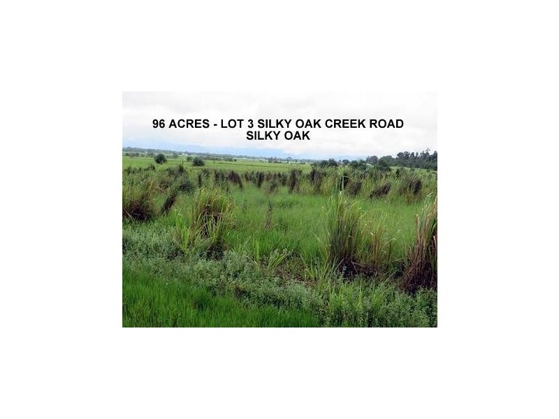 Lot 3 Silky Oak Creek Road, Silky Oak QLD 4854