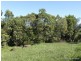 34 Maple Terrace, Tully QLD 4854