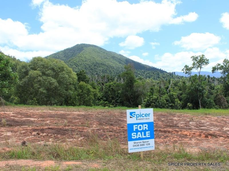 43 Pease Street, Tully QLD 4854