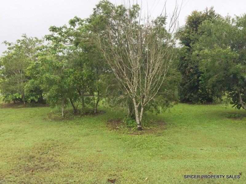 201 Midgenoo Road, Midgenoo QLD 4854