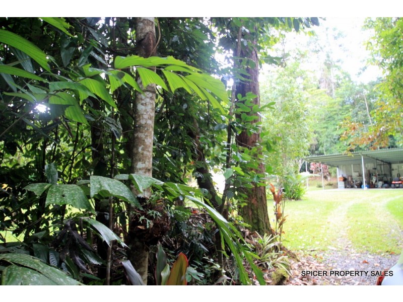 338 Appleyard Road, Bilyana QLD 4854