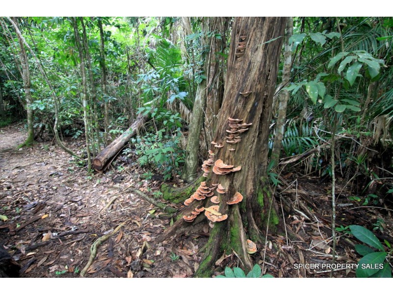 338 Appleyard Road, Bilyana QLD 4854