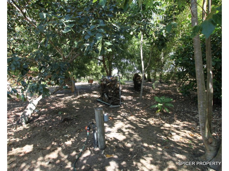 66 Vipiana Drive, Tully Heads QLD 4854