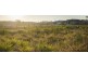 Ormeau QLD 4208