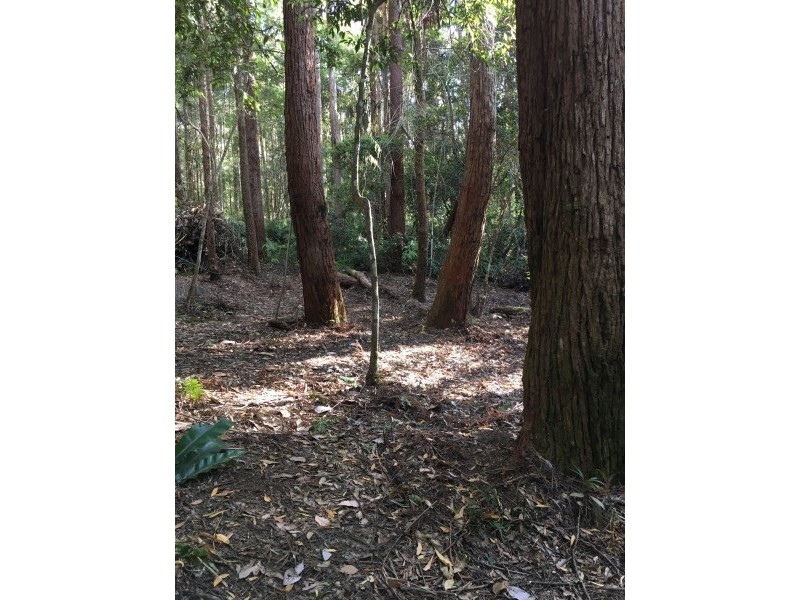 1943 Springbrook Road, Springbrook QLD 4213