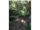 1943 Springbrook Road, Springbrook QLD 4213