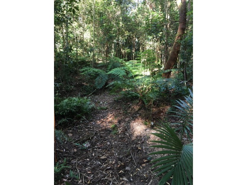 1943 Springbrook Road, Springbrook QLD 4213