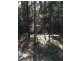 1943 Springbrook Road, Springbrook QLD 4213