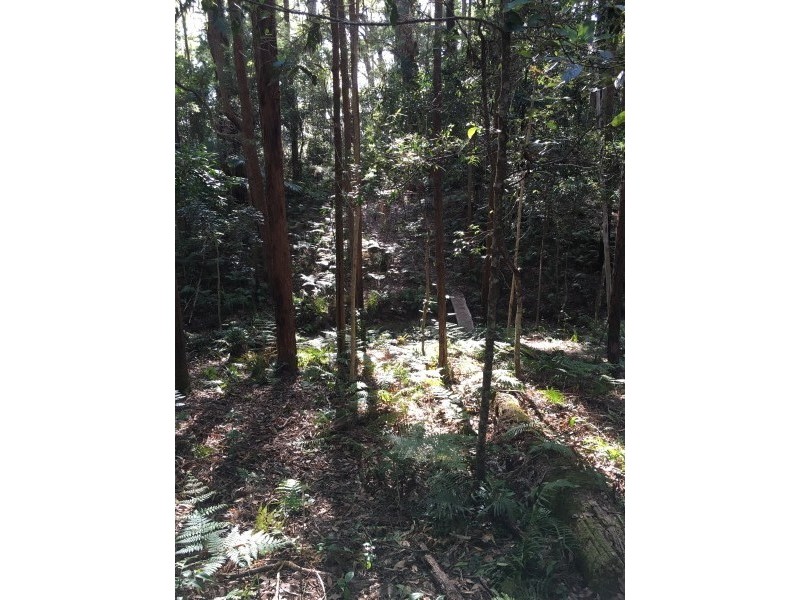 1943 Springbrook Road, Springbrook QLD 4213