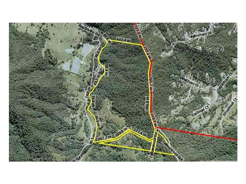 567 Austinville Road, Austinville QLD 4213