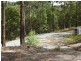 341 Austinville Road, Austinville QLD 4213