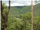 341 Austinville Road, Austinville QLD 4213