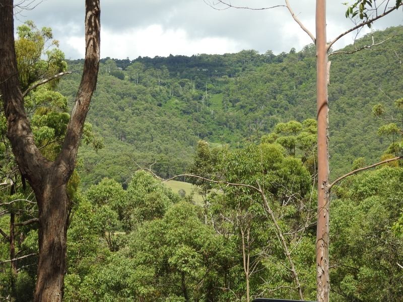 341 Austinville Road, Austinville QLD 4213