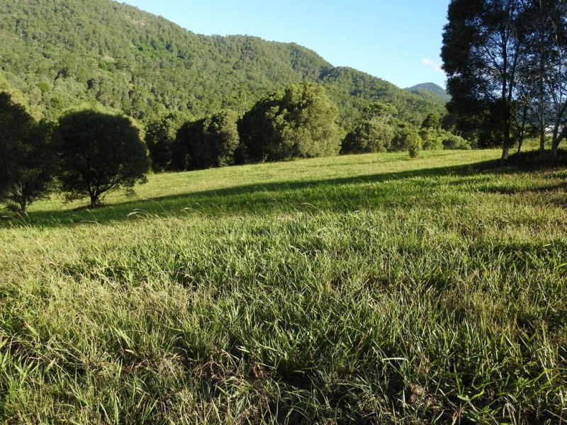 545 Austinville Road, Austinville QLD 4213