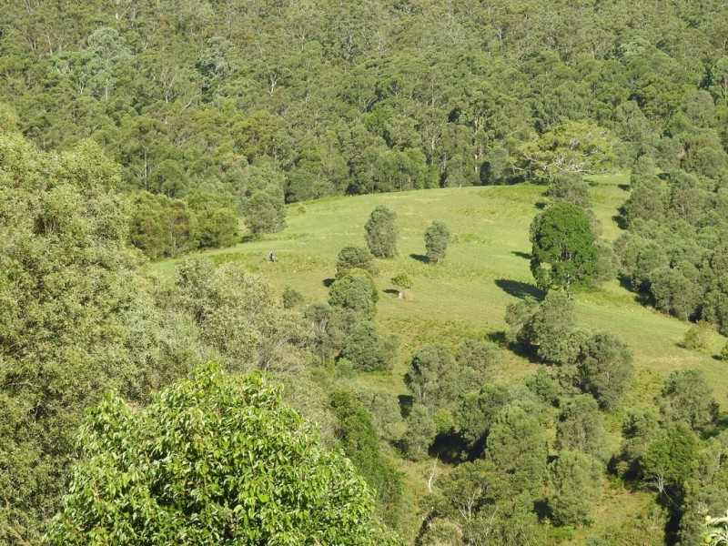 545 Austinville Road, Austinville QLD 4213